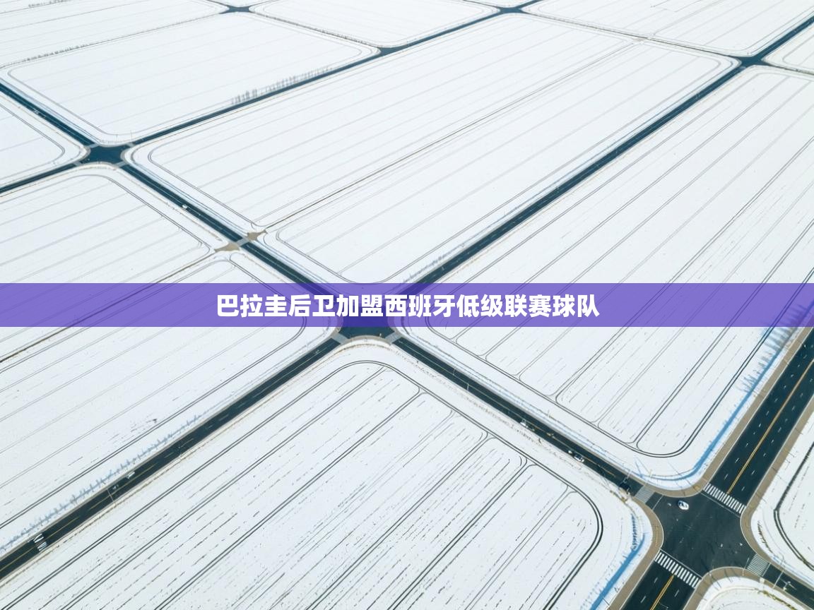 巴拉圭后卫加盟西班牙低级联赛球队 第1张