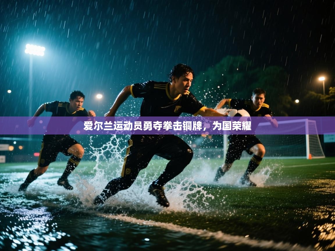 爱尔兰运动员勇夺拳击铜牌，为国荣耀  第2张