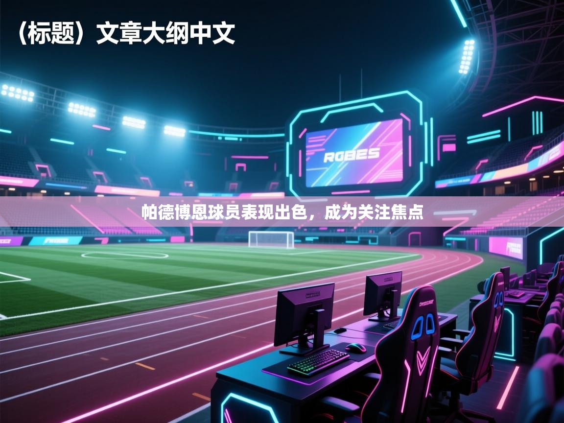 帕德博恩球员表现出色，成为关注焦点  第2张